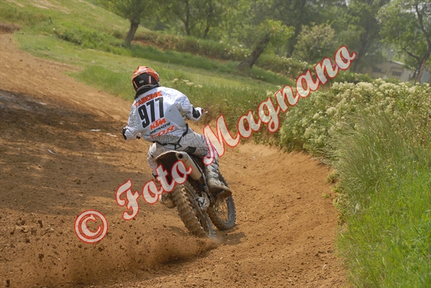 DSC_0911.jpg